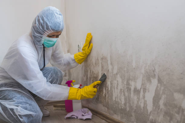 Water Damage Restoration in Garrison, ND