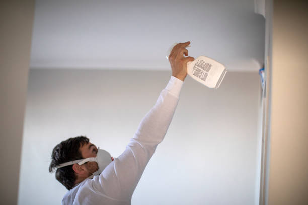 Best Same-Day Mold Removal  in Garrison, ND