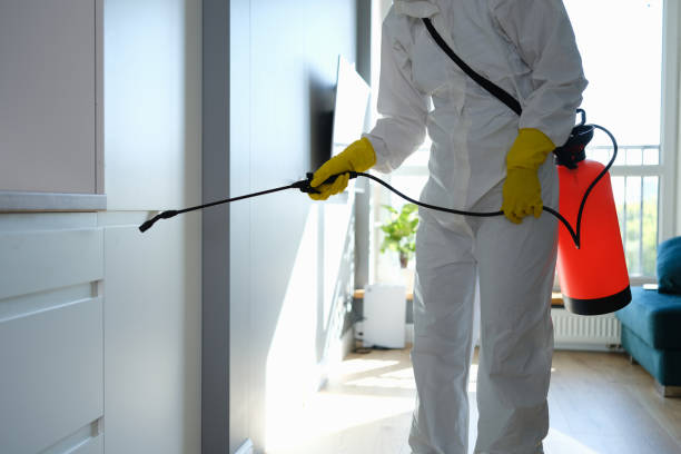 Best Home Mold Removal  in Garrison, ND